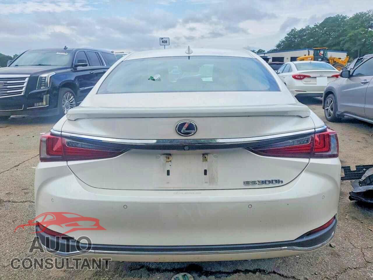 LEXUS ES300 2021 - 58AFA1C19MU005105