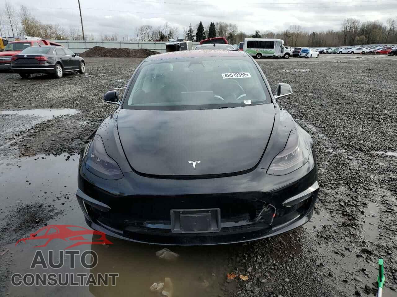 TESLA MODEL 3 2019 - 5YJ3E1EA1KF193169