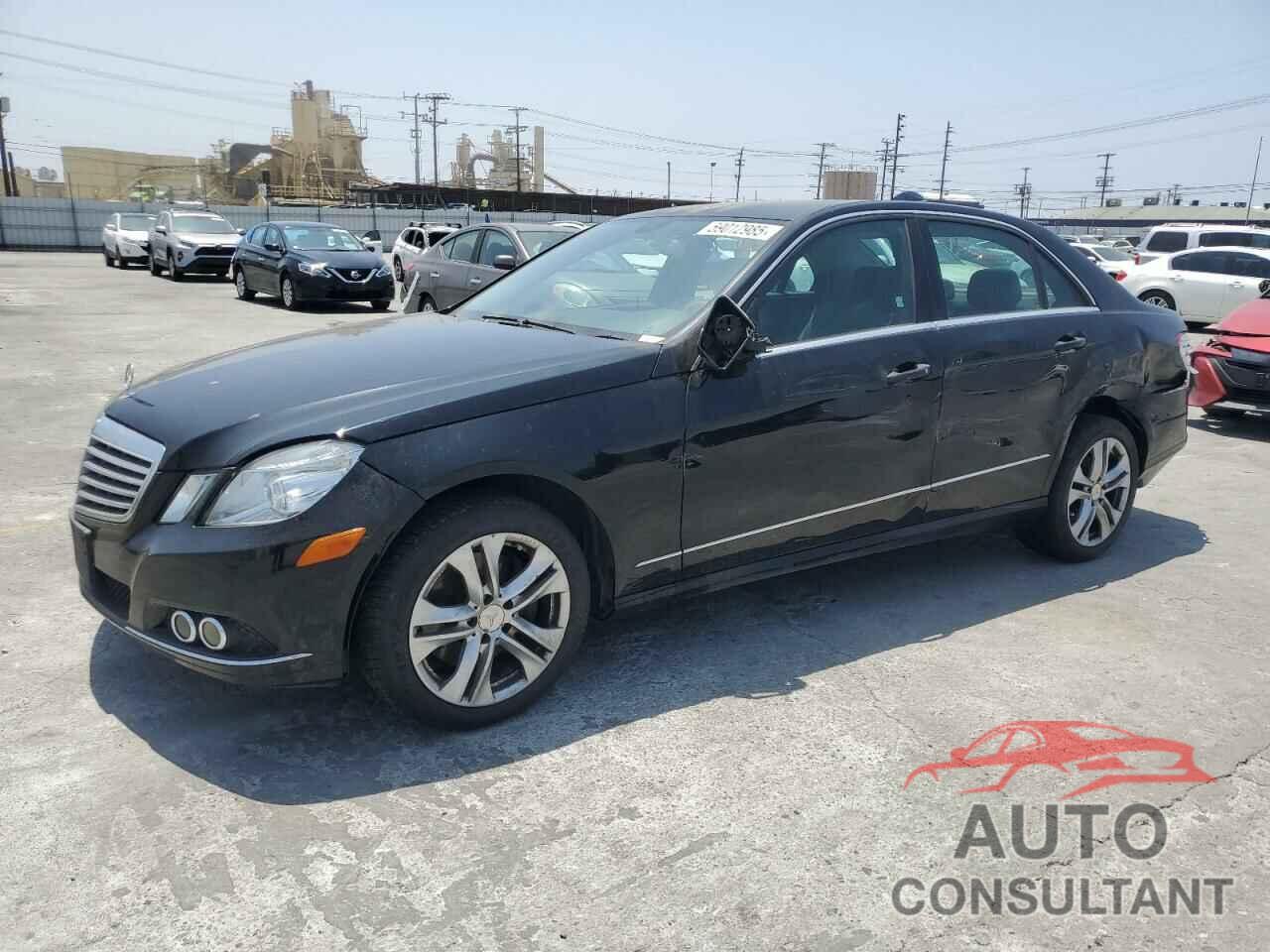 MERCEDES-BENZ E-CLASS 2010 - WDDHF5GB4AA219258