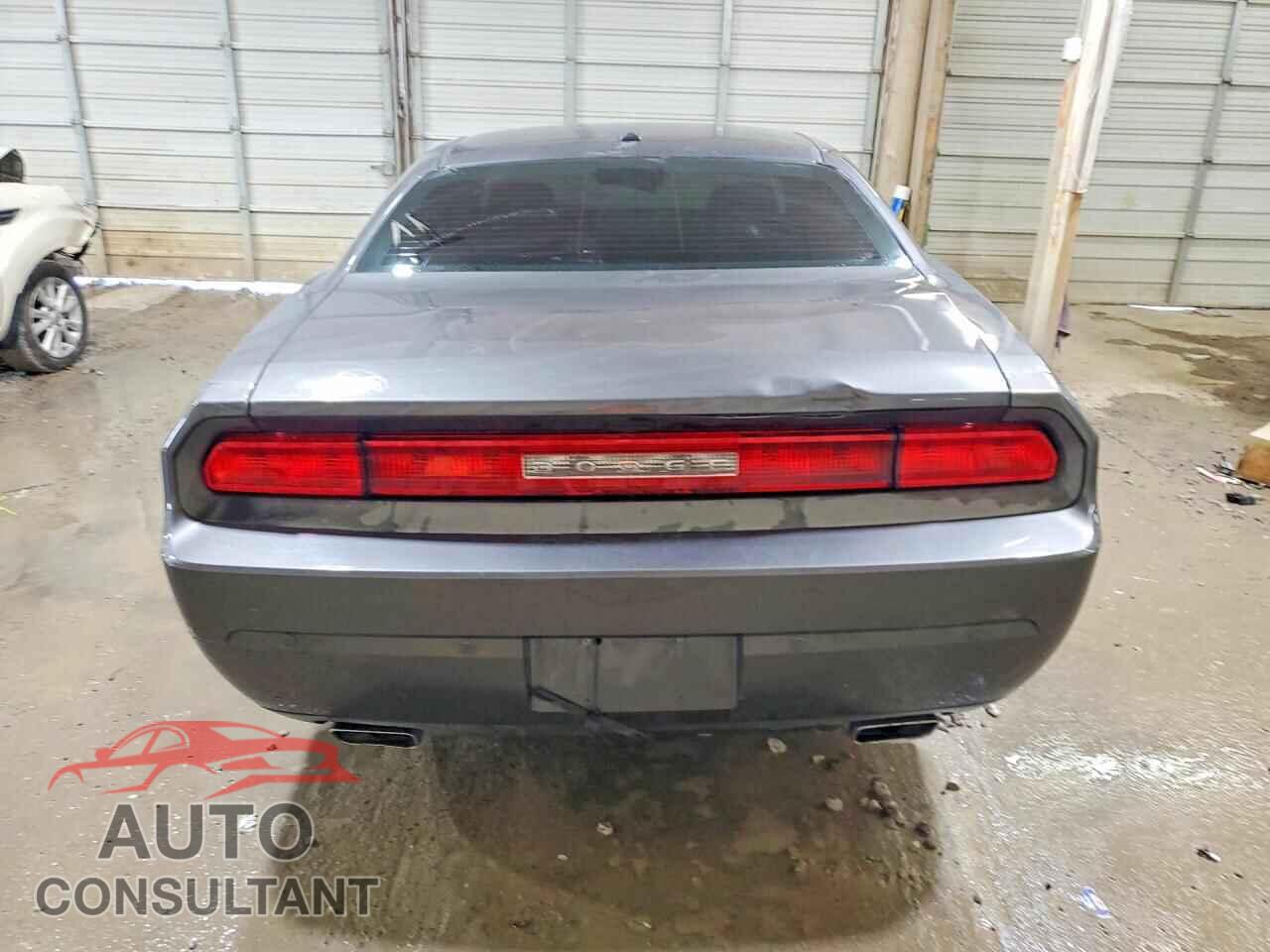 DODGE CHALLENGER 2013 - 2C3CDYAG6DH728570