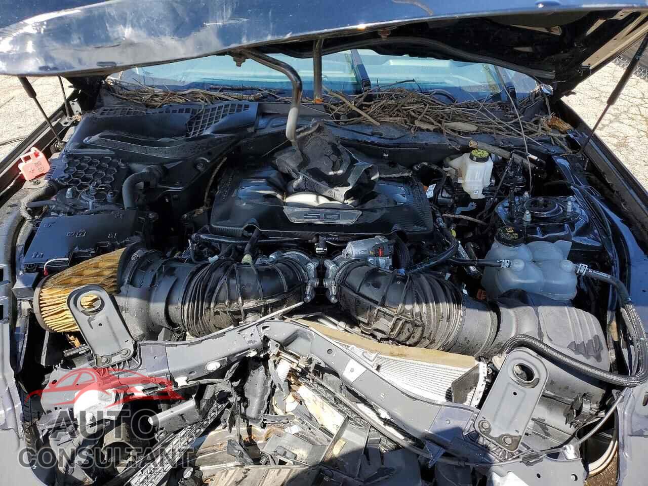 FORD MUSTANG 2025 - 1FA6P8CF9S5401207