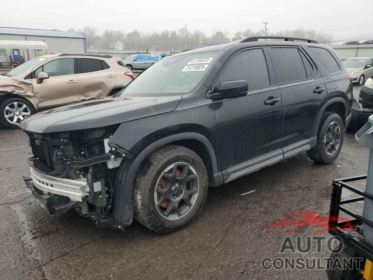 HONDA PILOT 2024 - 5FNYG1H63RB021436
