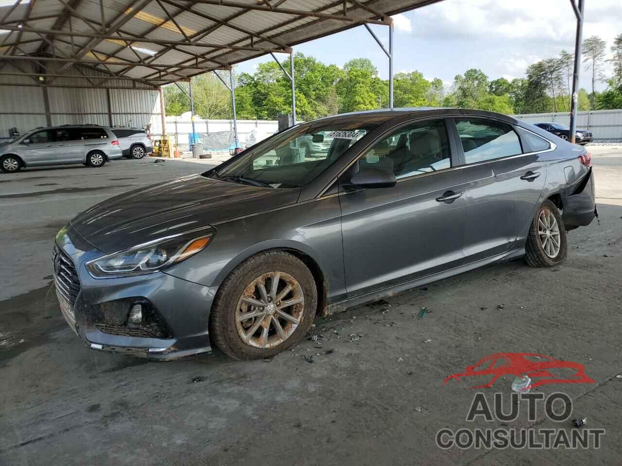HYUNDAI SONATA 2019 - 5NPE24AF7KH764587