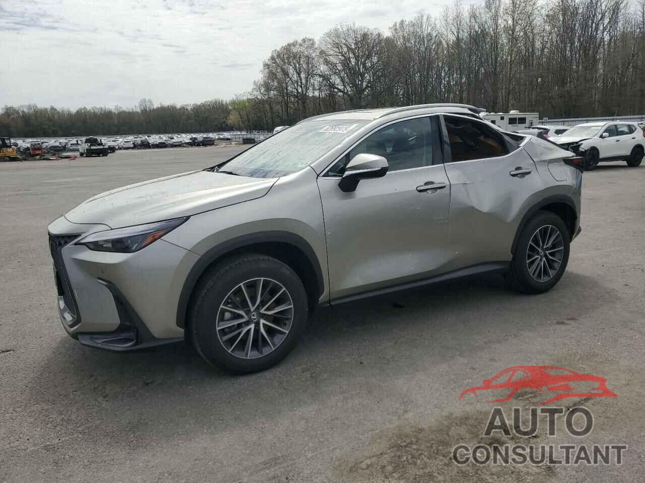 LEXUS NX 350 PRE 2025 - 2T2GGCEZ7SC070344