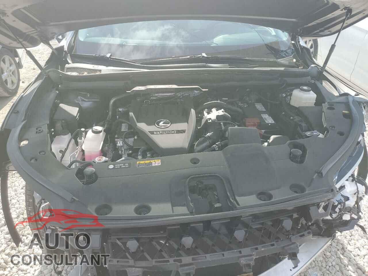 LEXUS RX350 2023 - 2T2BAMBA6PC007114