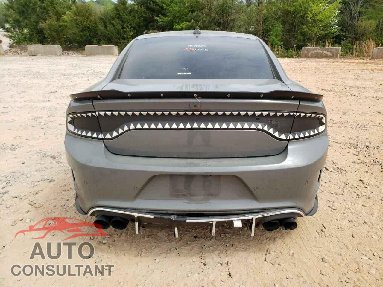 DODGE CHARGER 2017 - 2C3CDXCT2HH644000