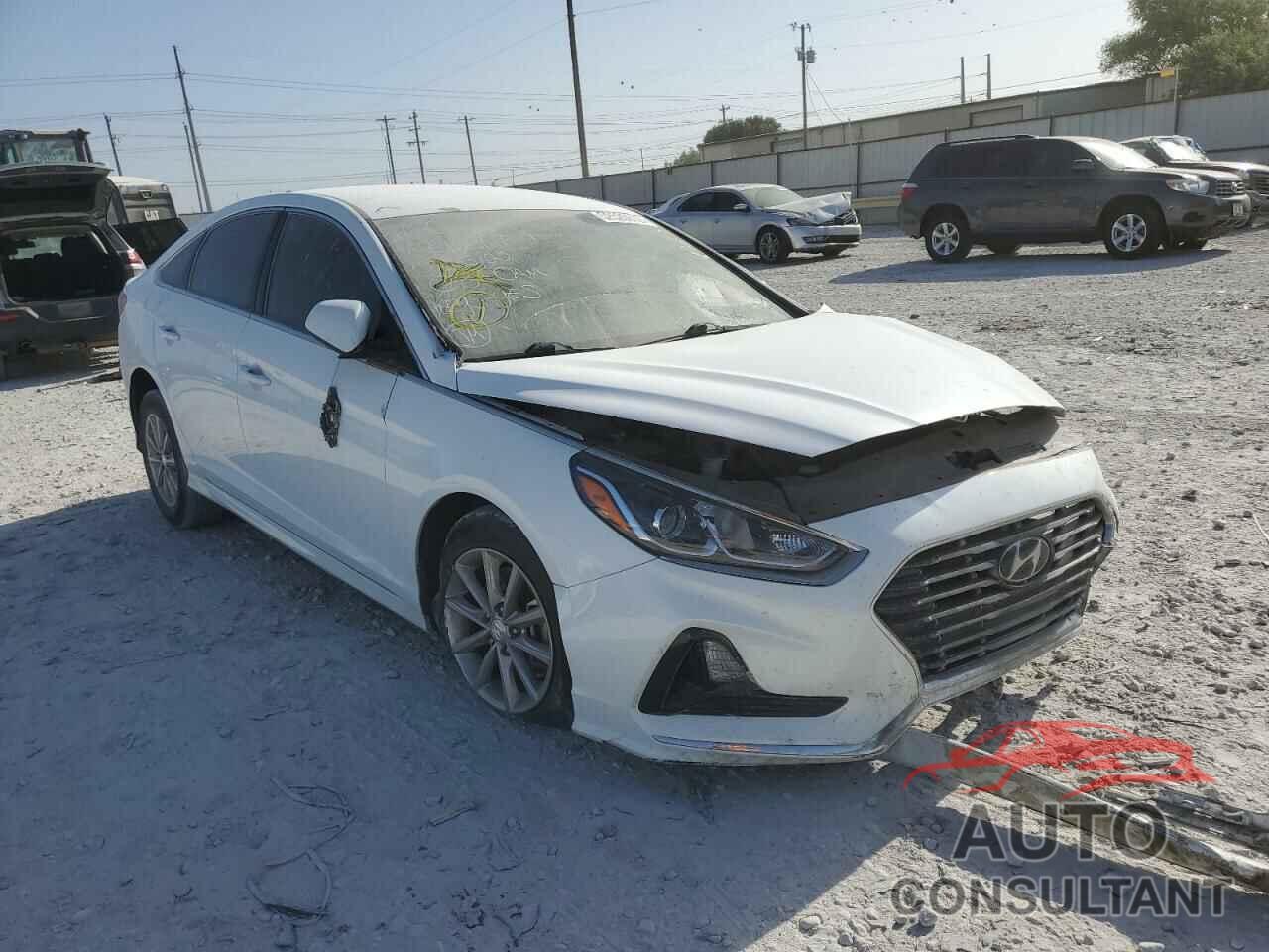 HYUNDAI SONATA 2019 - 5NPE24AF9KH769208