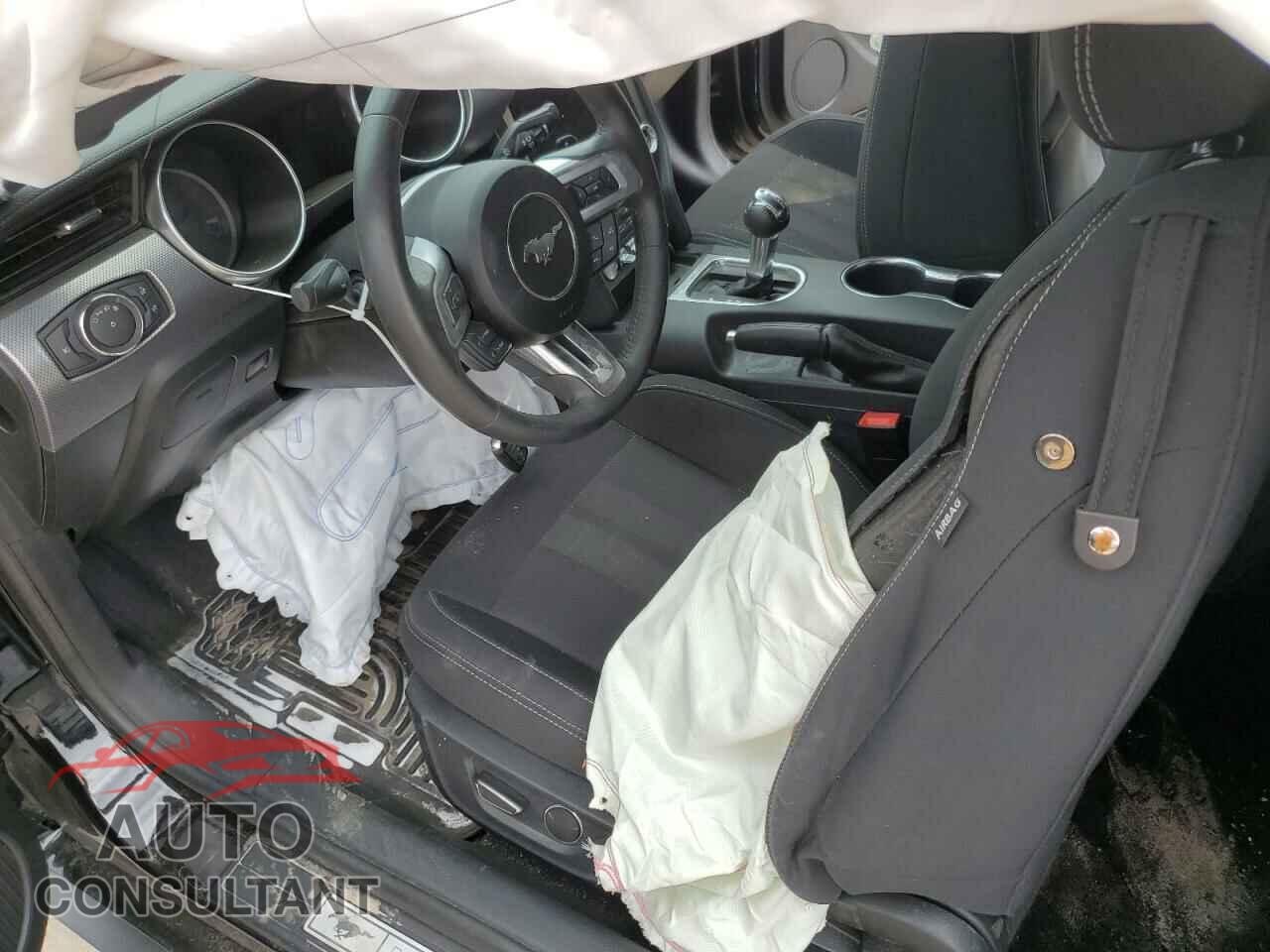 FORD MUSTANG 2019 - 1FA6P8CF1K5124892
