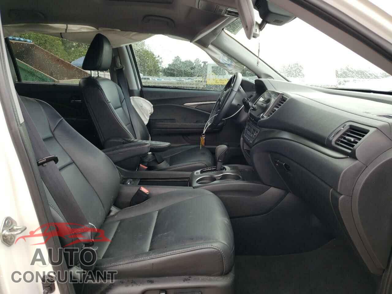 HONDA PILOT 2019 - 5FNYF5H56KB022331