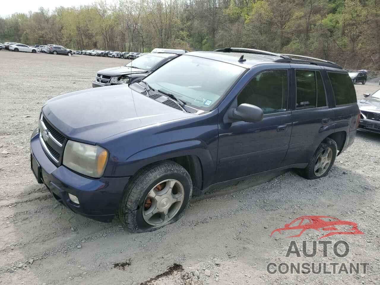 CHEVROLET TRAILBLZR 2009 - 1GNDT33S692100684