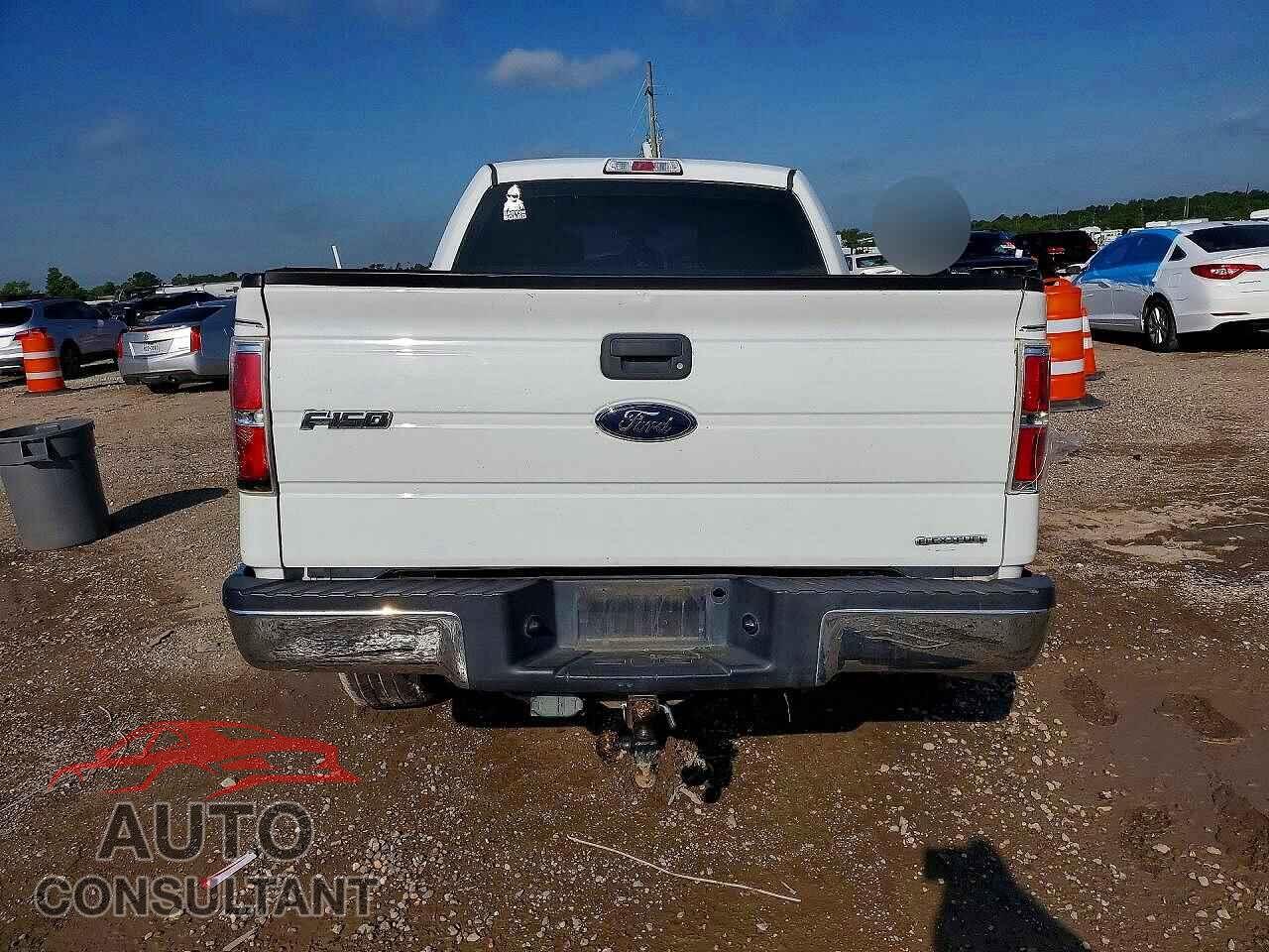 FORD F150 2013 - 1FTFW1CF8DKF09245