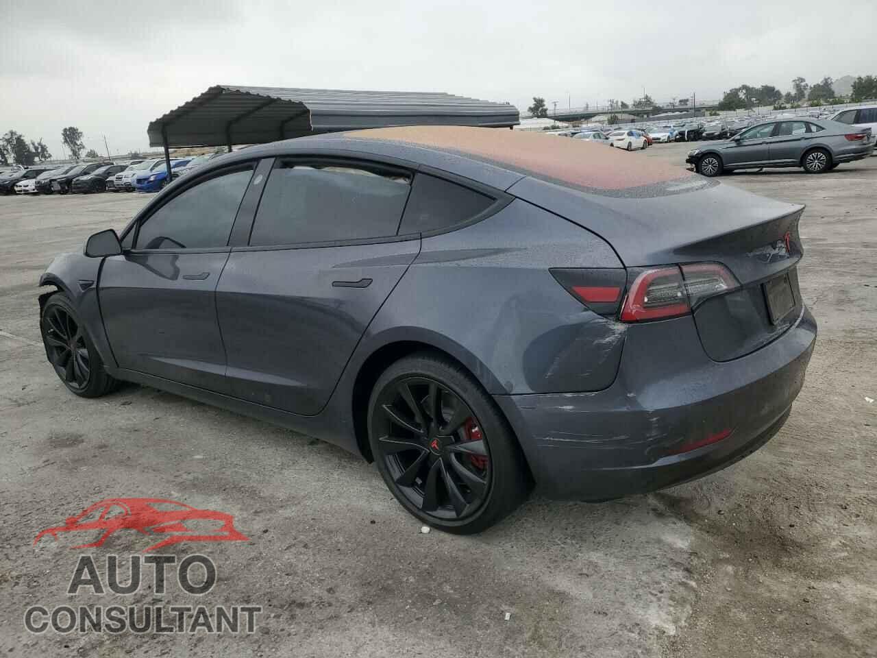 TESLA MODEL 3 2019 - 5YJ3E1EA1KF311219