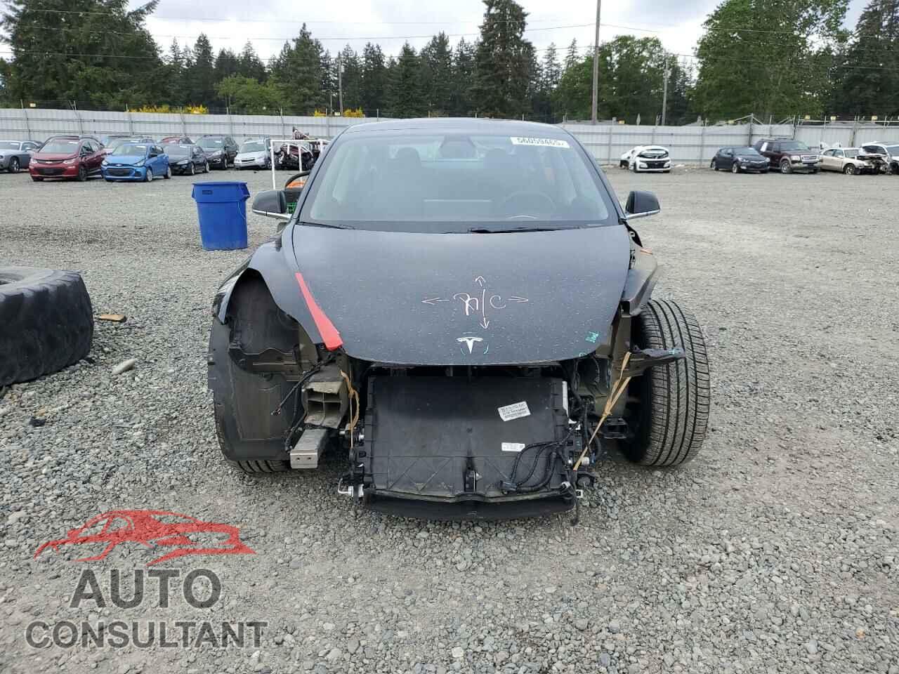 TESLA MODEL 3 2019 - 5YJ3E1EA2KF361787