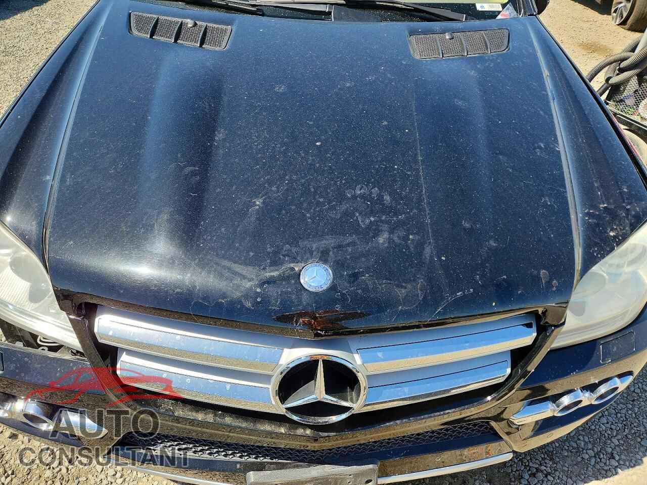 MERCEDES-BENZ GL-CLASS 2010 - 4JGBF2FB0AA532562