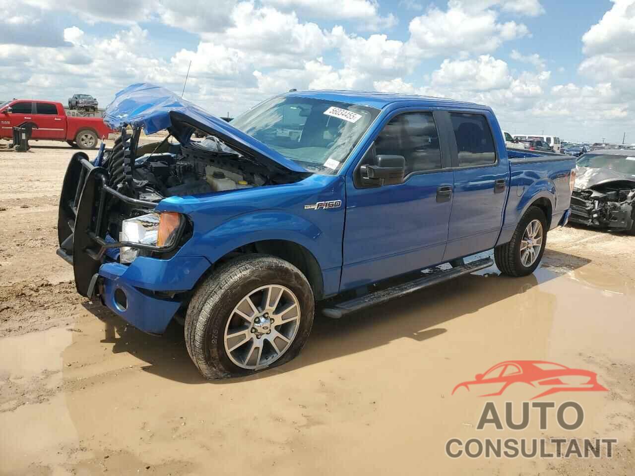 FORD F-150 2014 - 1FTFW1CFXEKF54348