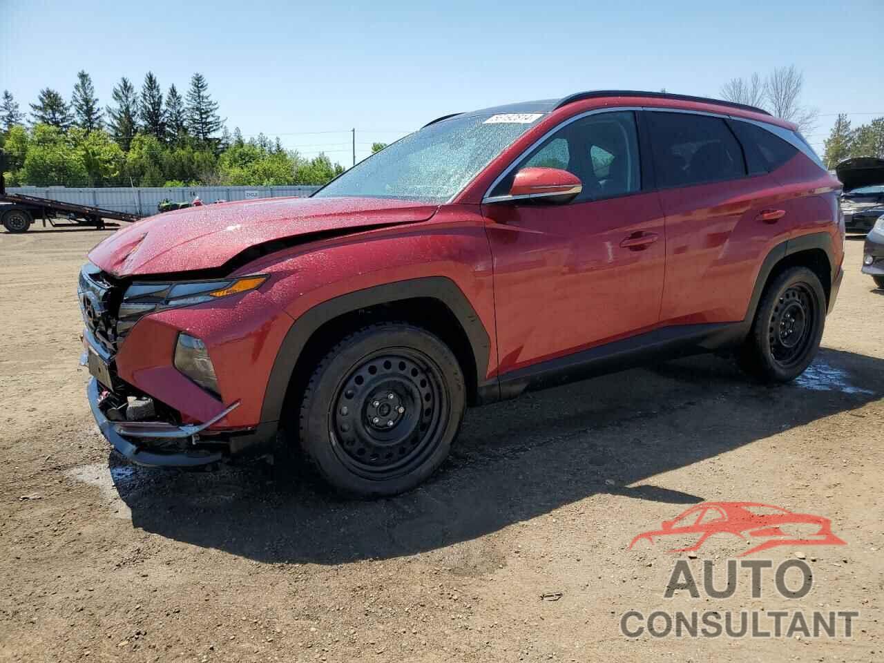 HYUNDAI TUCSON 2023 - KM8JCCA19PU086234