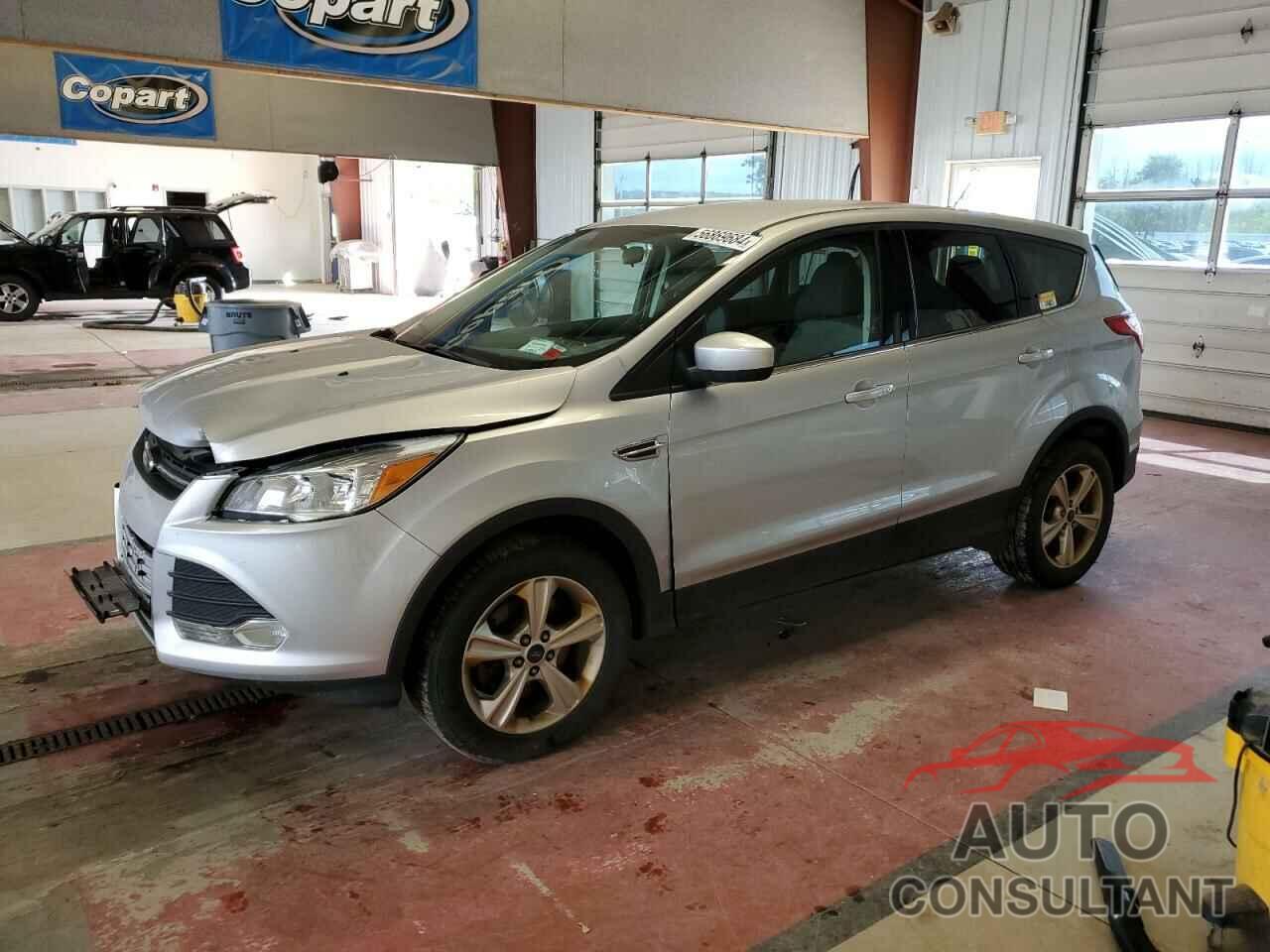 FORD ESCAPE 2016 - 1FMCU9GX5GUA06853