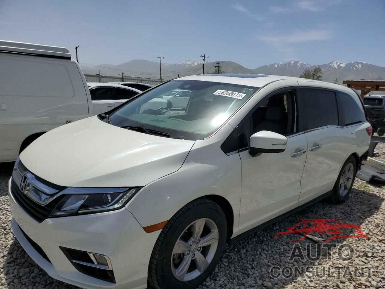 HONDA All Models 2019 - 5FNRL6H71KB061252