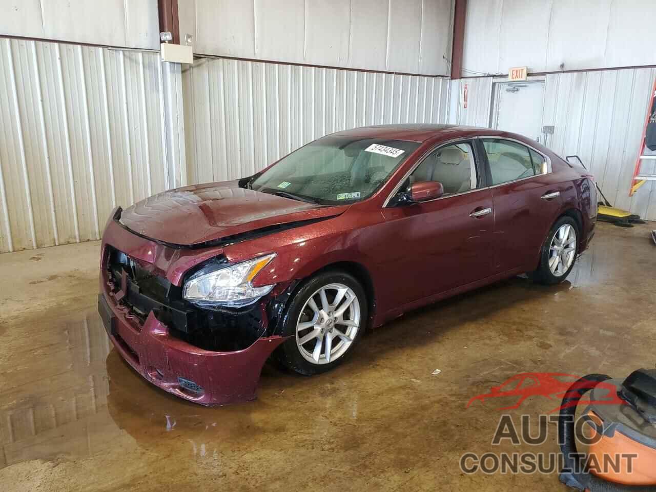 NISSAN MAXIMA 2011 - 1N4AA5AP2BC850830