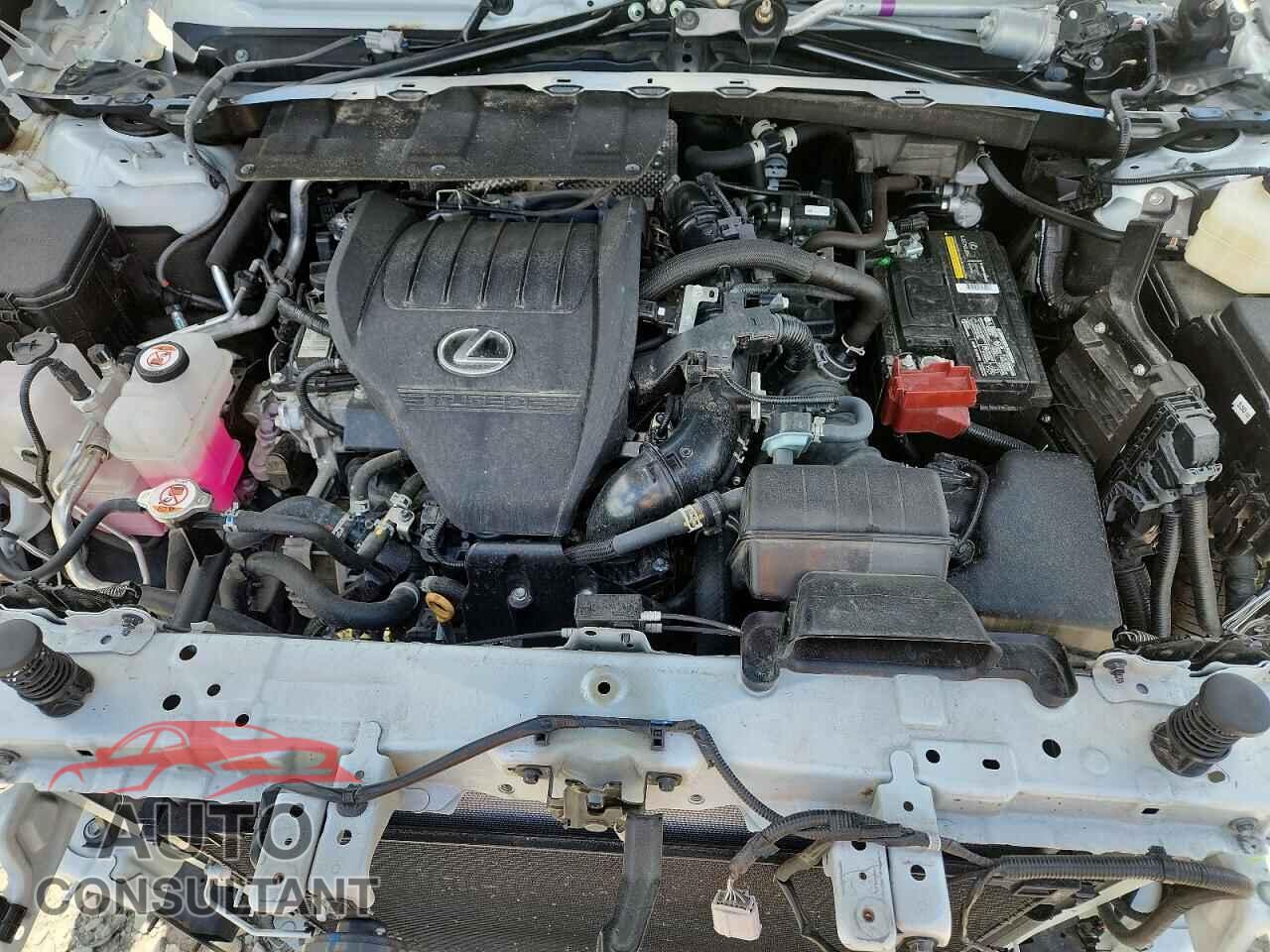 LEXUS UNKNOWN 2024 - 5TDAAAB63RS004790