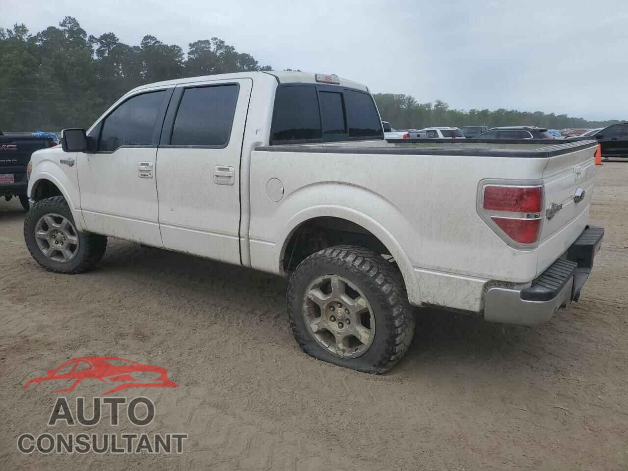 FORD F-150 2013 - 1FTFW1EF2DKF65033