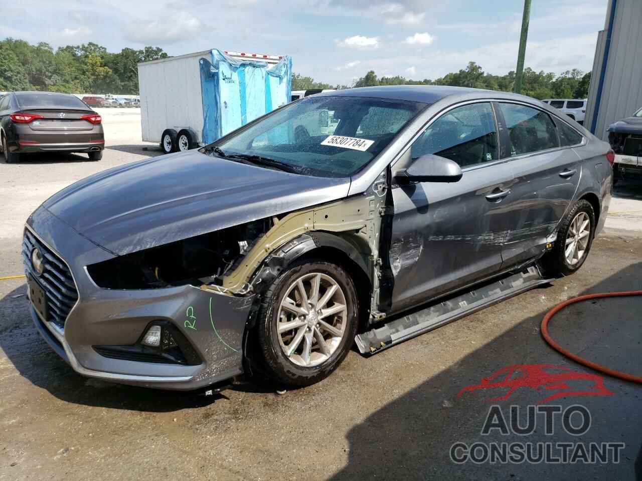 HYUNDAI SONATA 2019 - 5NPE24AF3KH772735