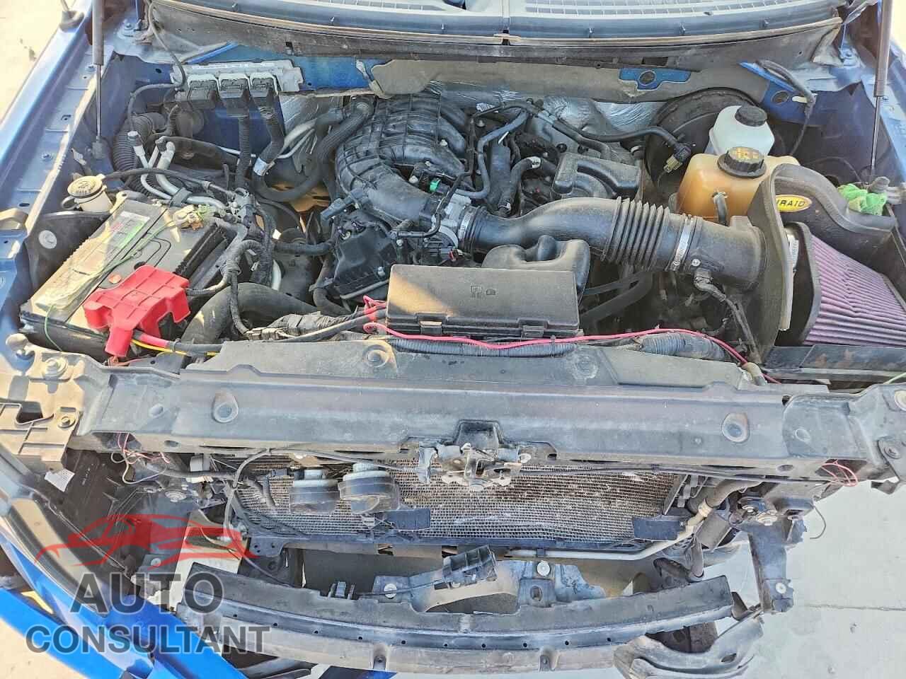 FORD All Models 2012 - 1FTMF1CM2CKE20582