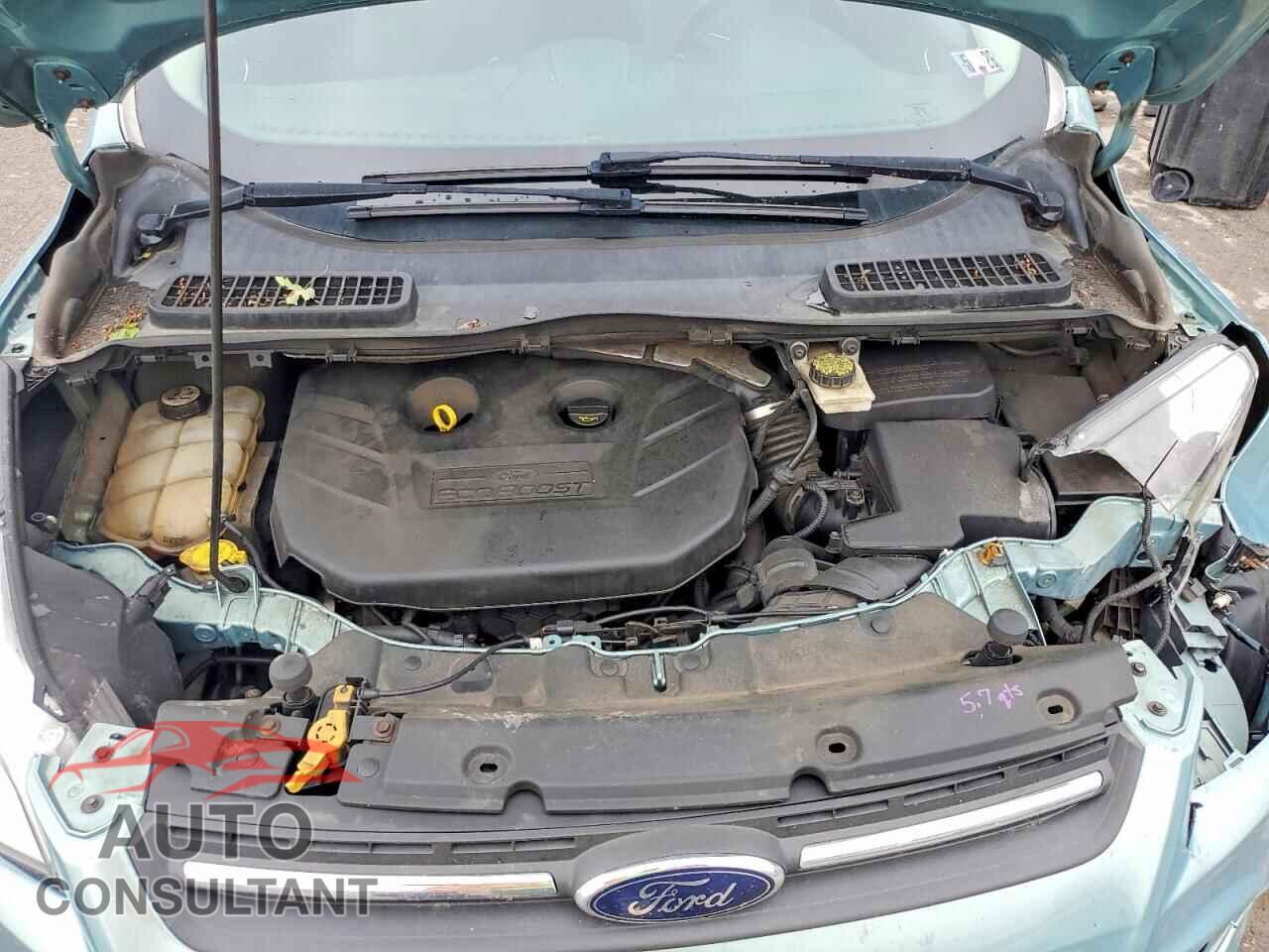 FORD ESCAPE 2013 - 1FMCU9G92DUA84777