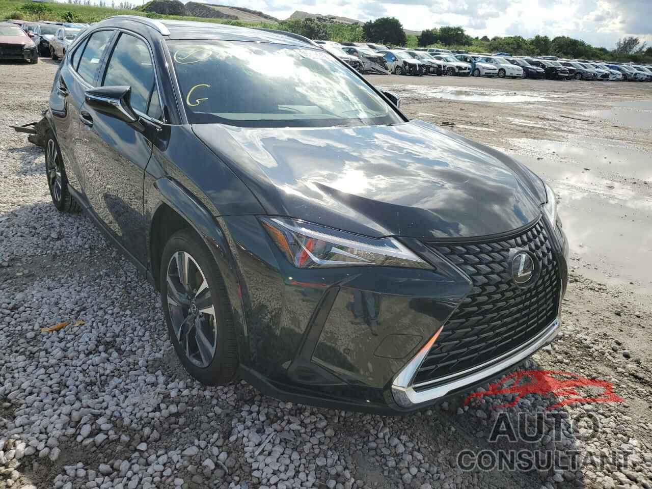 LEXUS UX 200 BAS 2022 - JTHP3JBH4N2051493