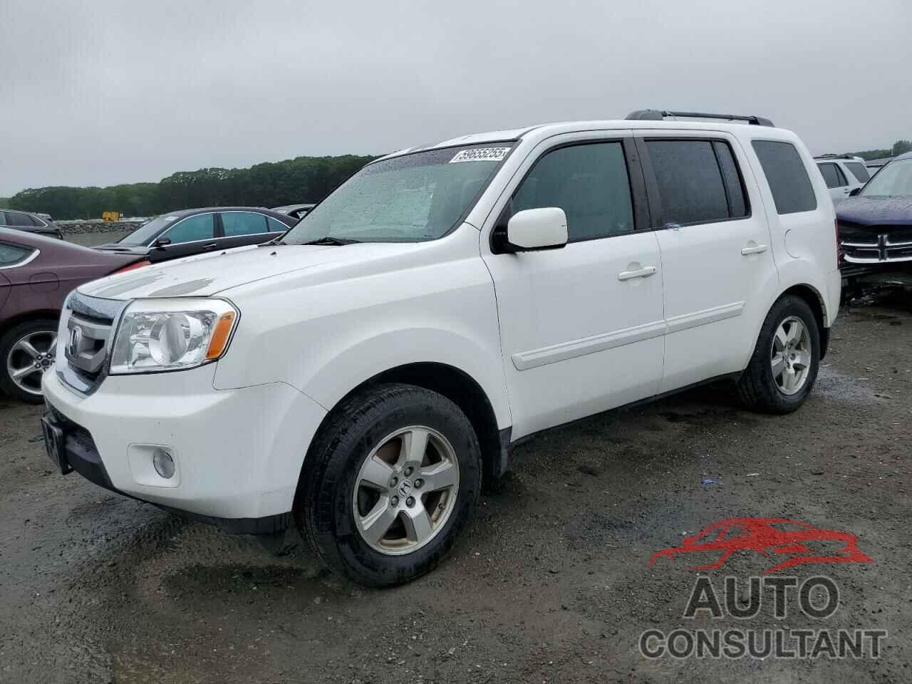 HONDA PILOT 2011 - 5FNYF4H52BB059404