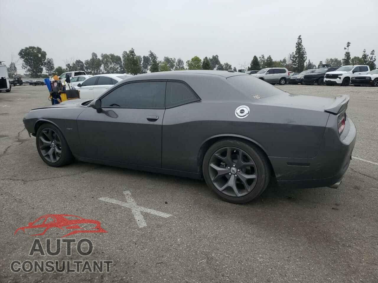 DODGE CHALLENGER 2019 - 2C3CDZBT4KH549538