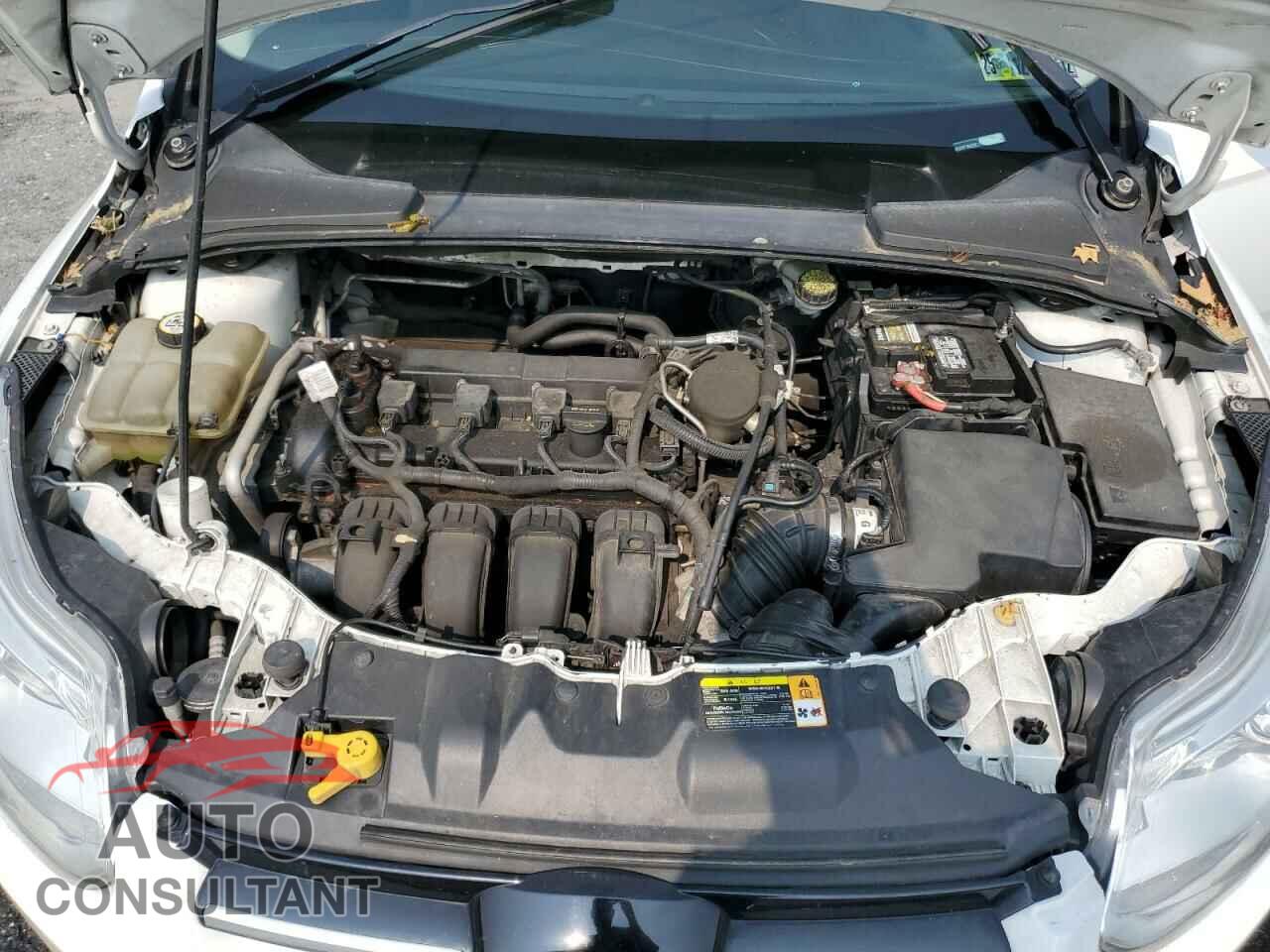 FORD FOCUS 2012 - 1FAHP3M29CL149771