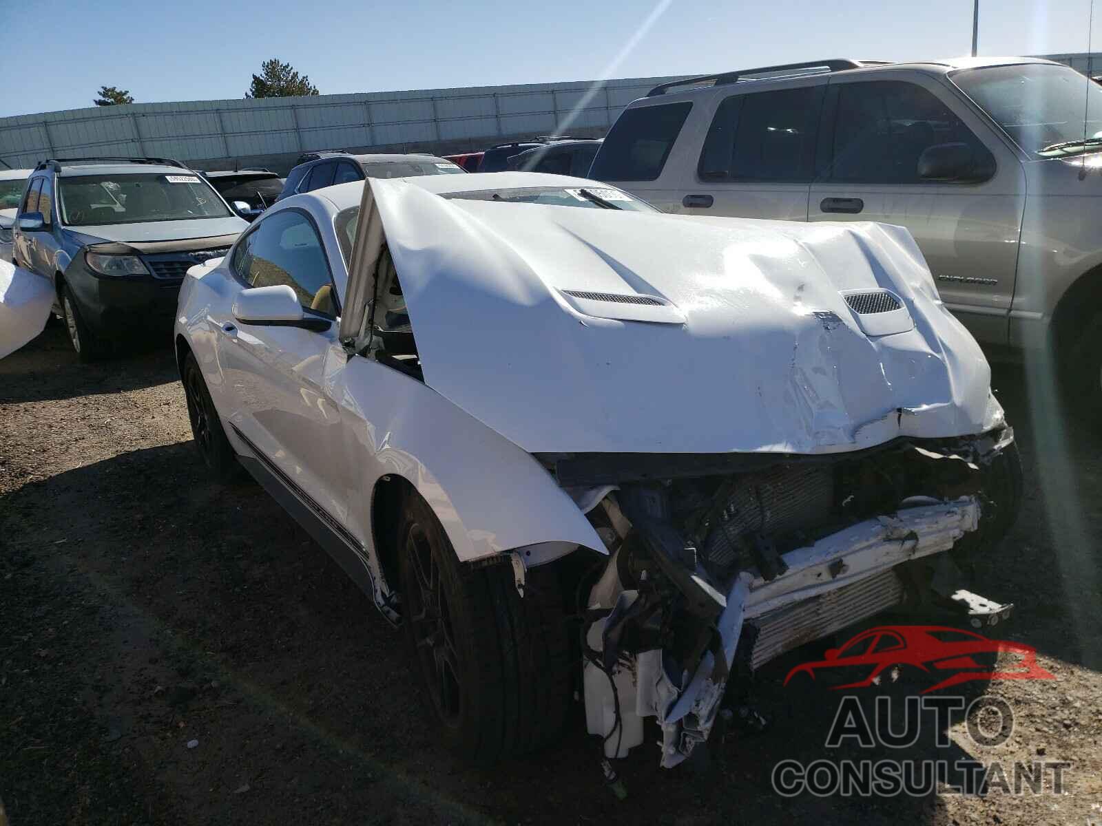 FORD MUSTANG 2019 - 1FA6P8TH6K5130656