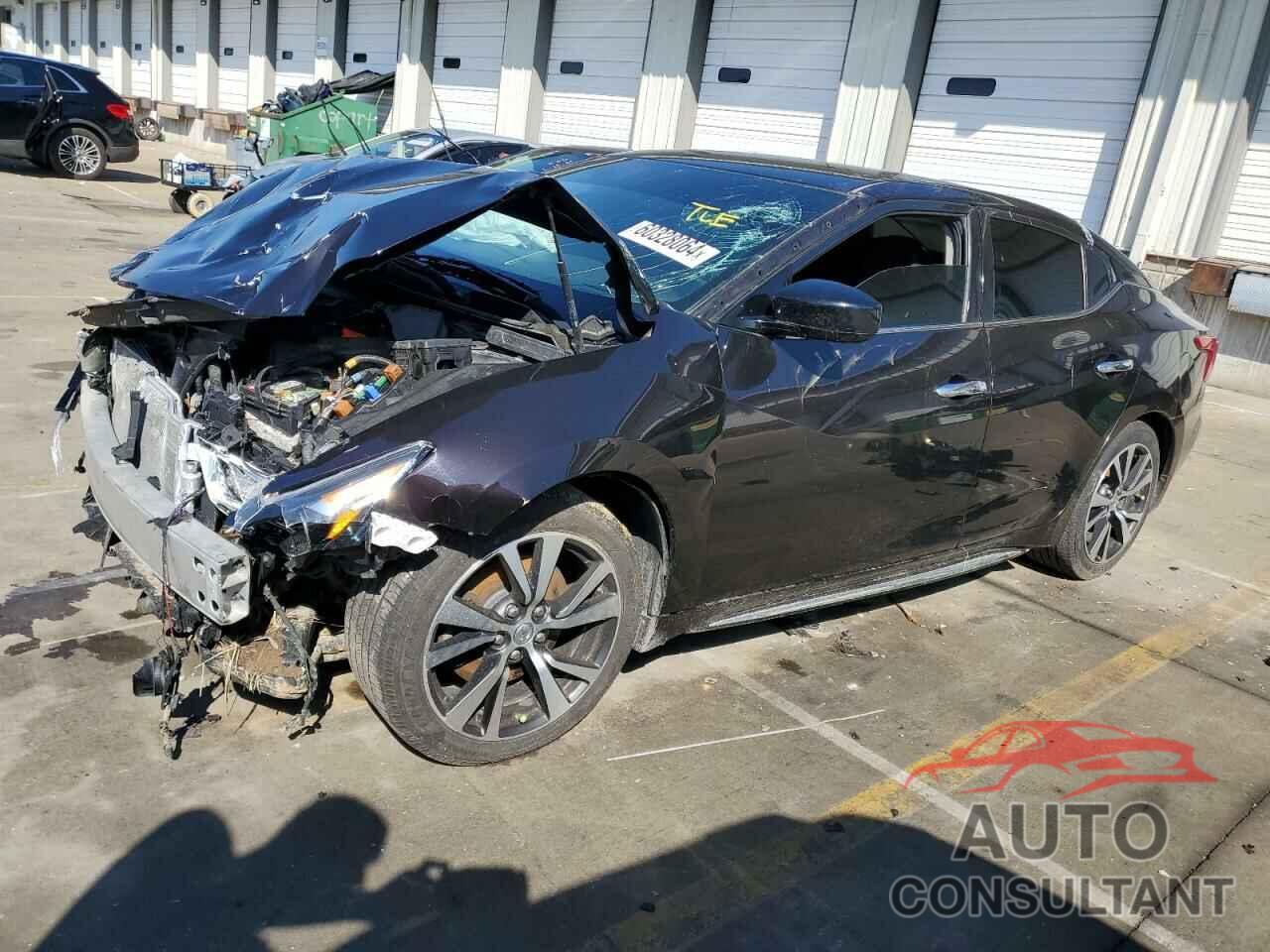 NISSAN MAXIMA 2017 - 1N4AA6AP7HC364867