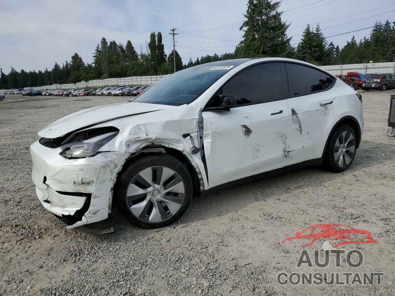 TESLA MODEL Y 2022 - 7SAYGAEE4NF519976