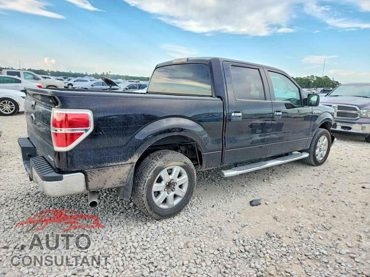 FORD F150 2013 - 1FTEW1CM7DFD40273