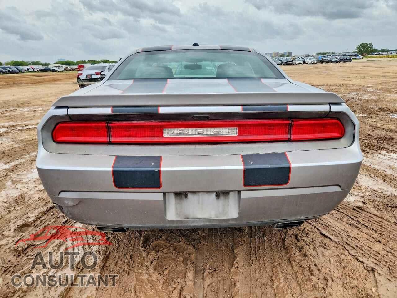 DODGE CHALLENGER 2013 - 2C3CDYBTXDH619489