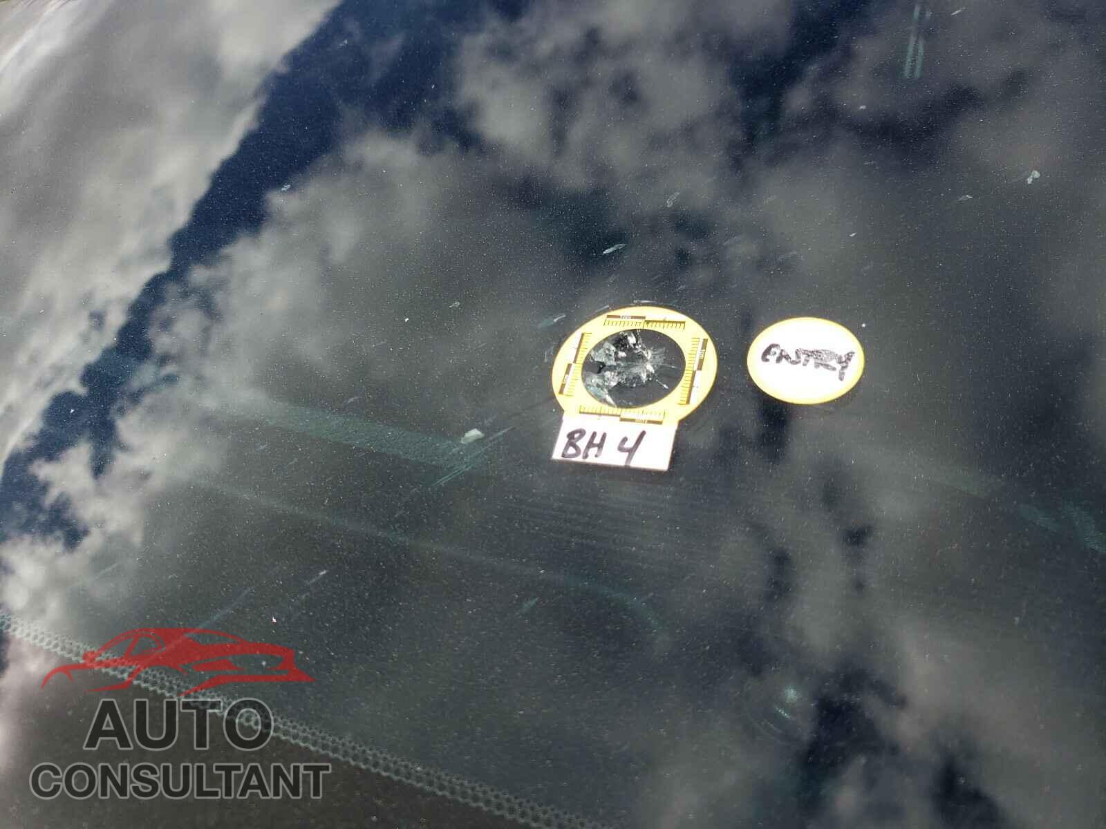 DODGE CHALLENGER 2019 - 2C3CDZAG2KH534735