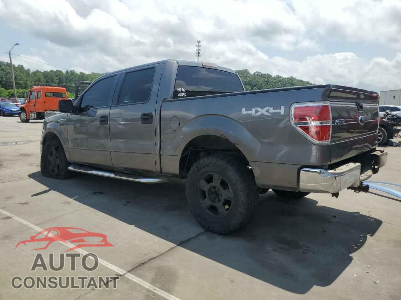 FORD F-150 2013 - 1FTFW1EF8DFD19905