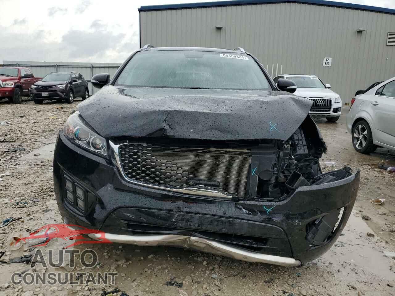 KIA SORENTO 2016 - 5XYPKDA59GG181694