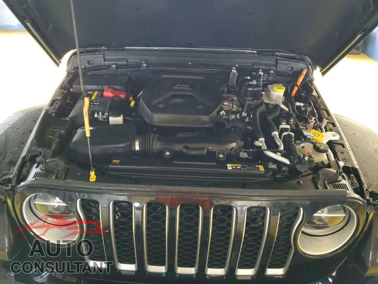 JEEP WRANGLER 2021 - 1C4JJXP60MW708191