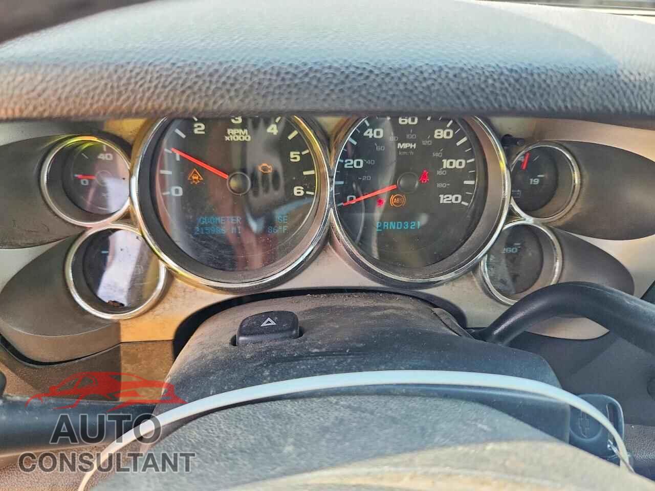 CHEVROLET SILVERADO 2009 - 1GCEK29059Z141377