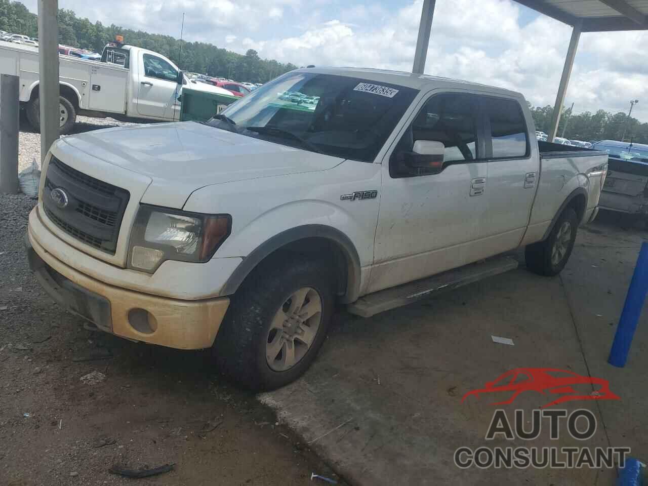 FORD F-150 2013 - 1FTFW1EF5DKF06445
