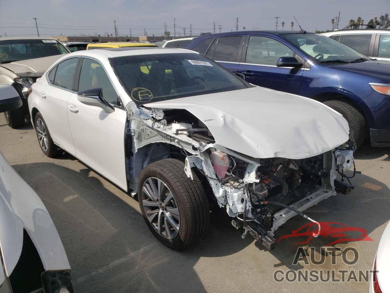 LEXUS ES300 2021 - 58ACA1C16MU010653