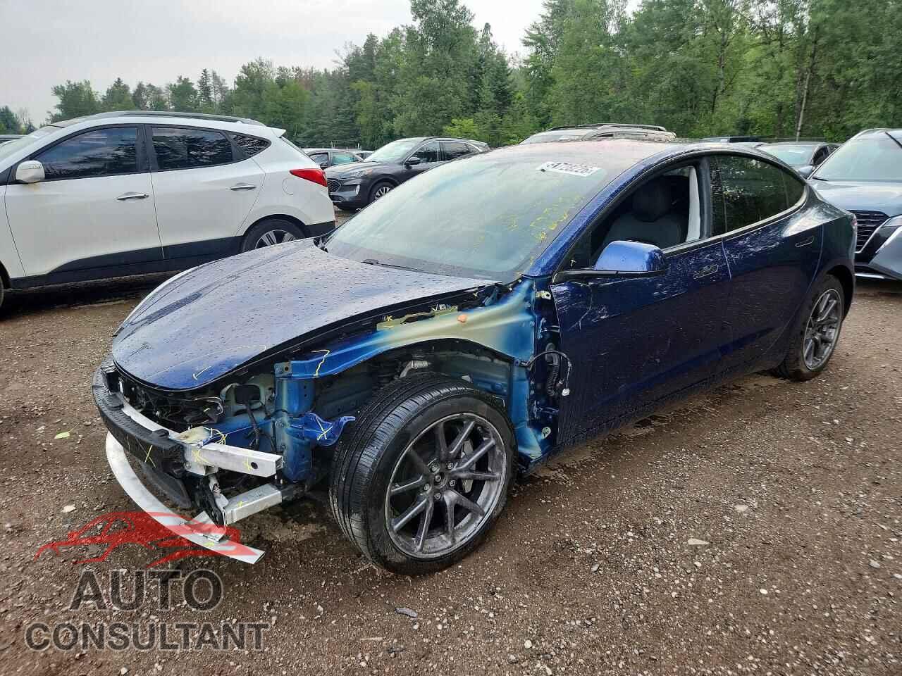 TESLA MODEL 3 2018 - 5YJ3E1EBXJF120454