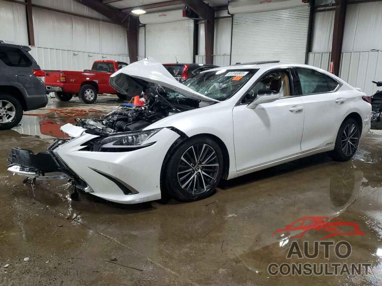 LEXUS ES300 2022 - 58ADA1C1XNU016994