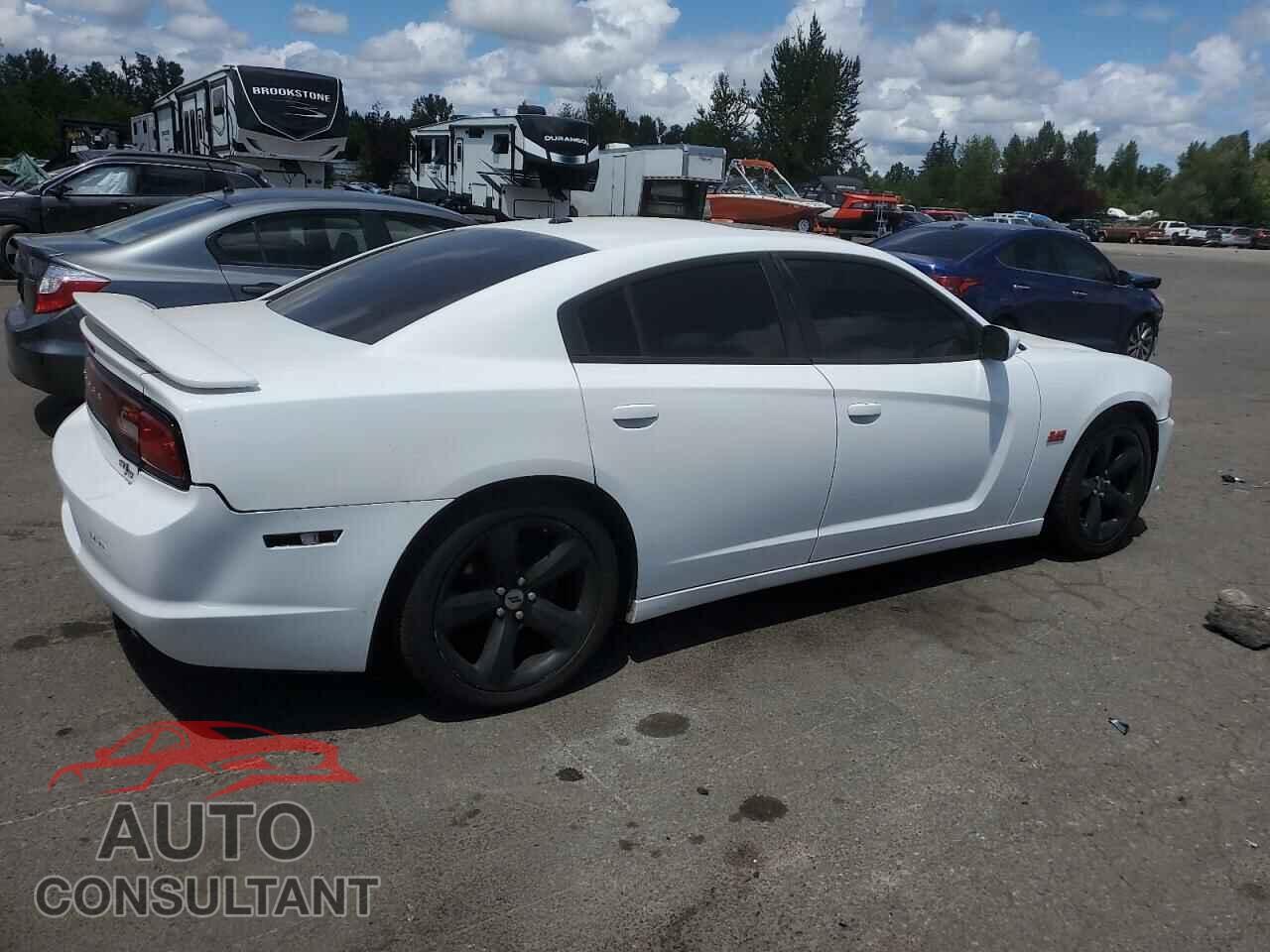 DODGE CHARGER 2013 - 2C3CDXCT3DH520280