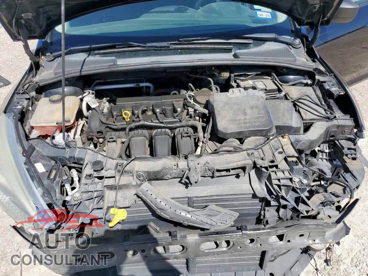 FORD FOCUS 2016 - 1FADP3E20GL275309