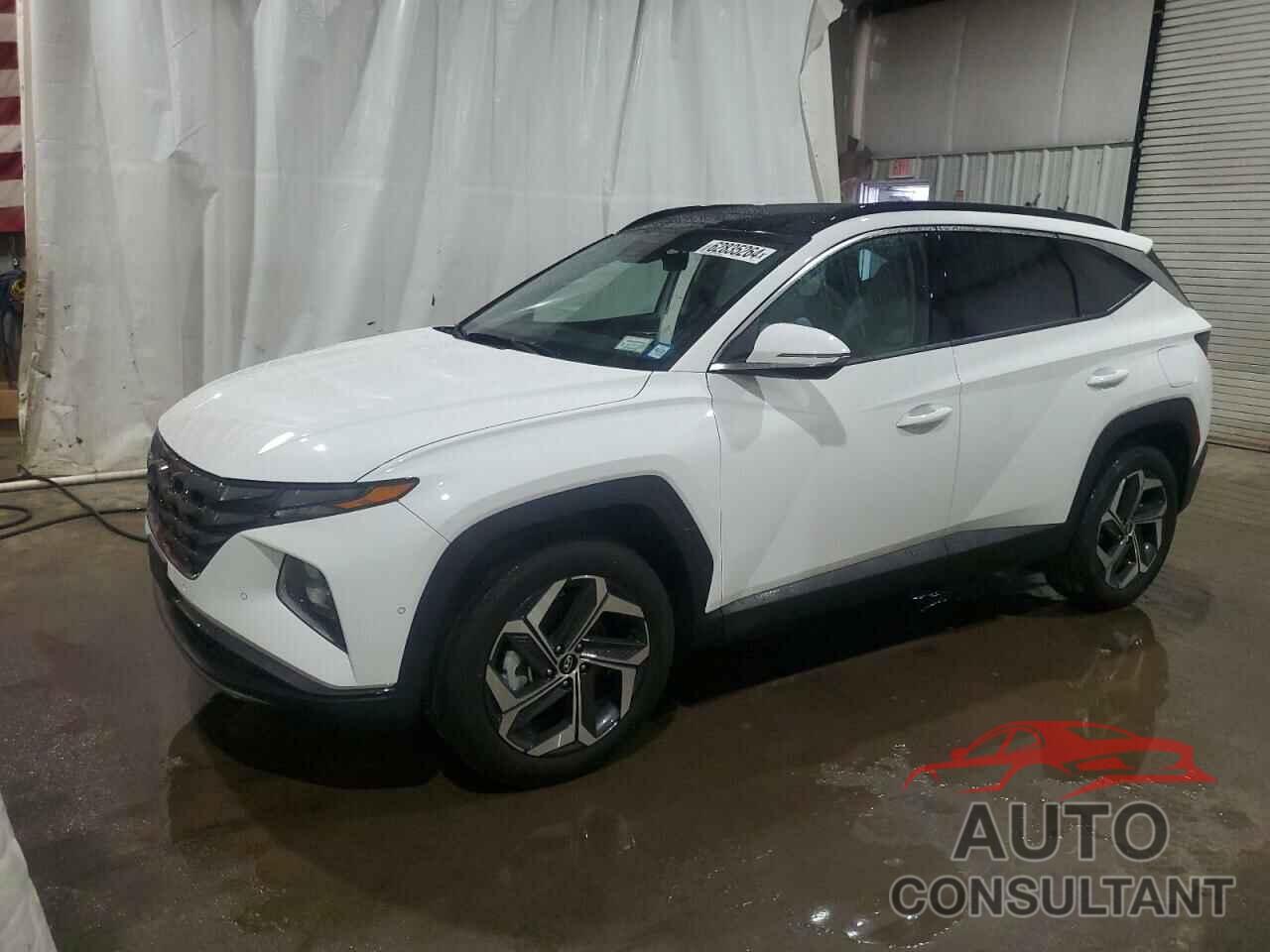 HYUNDAI TUCSON 2024 - 5NMJECDE9RH378344