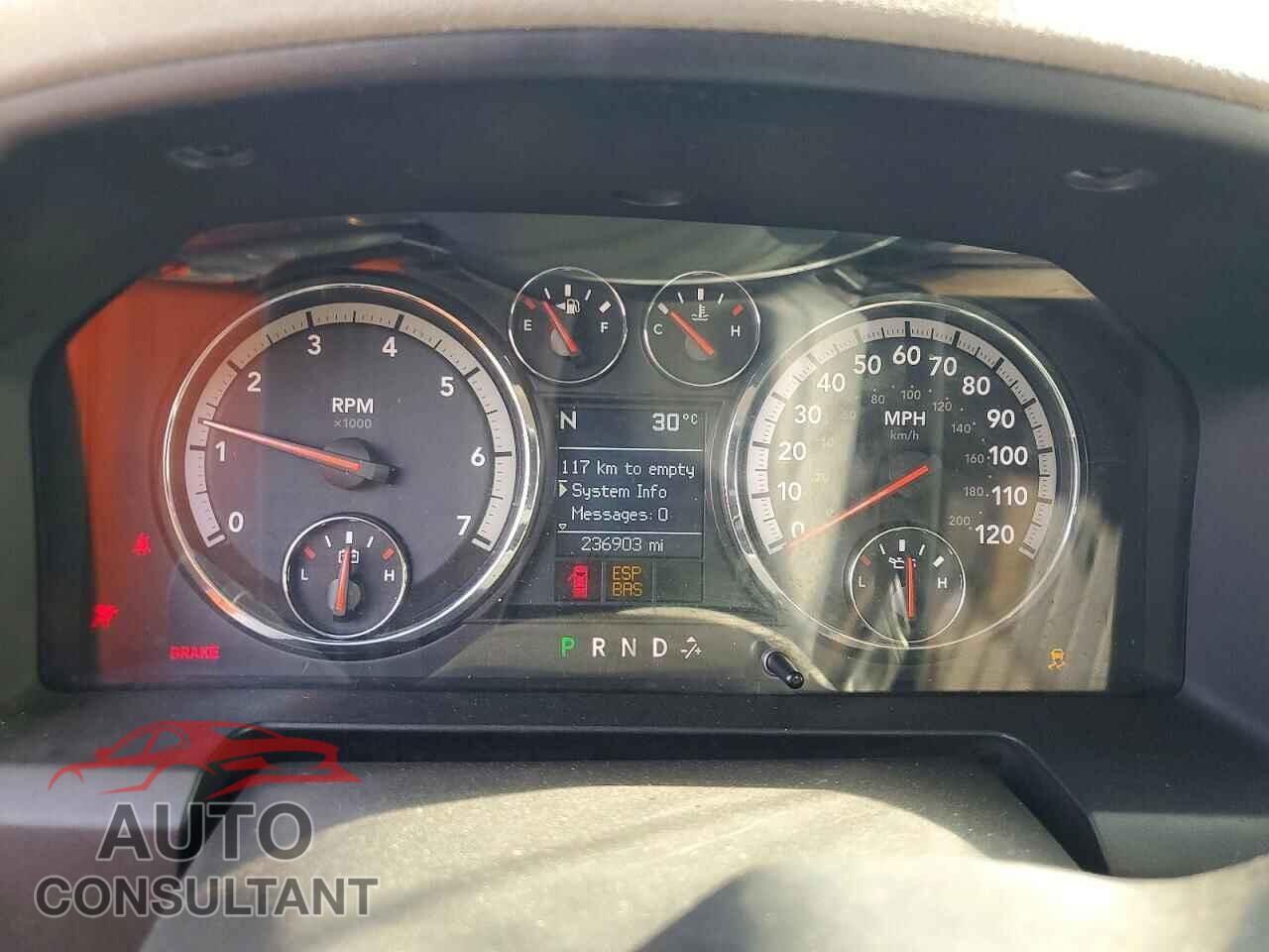 DODGE RAM 1500 2009 - 1D3HB18T39S772406